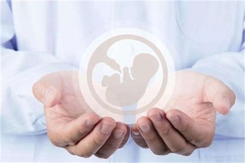 http://hefei.hy-ly.com/post/203.html|合肥试管助孕
