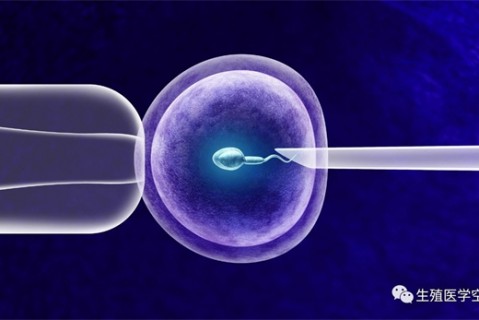 女人合肥代生孩子的最佳年龄段 一辈子生几个孩子最好